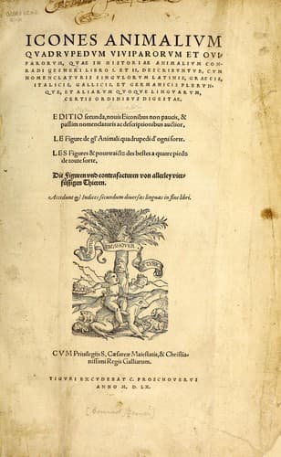 Icones animalium quadrupedum uiuiparorum et ouiparorum