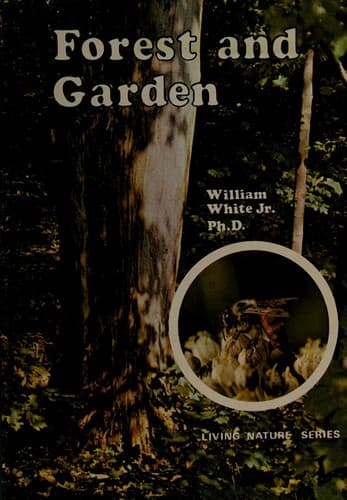 Forest and garden