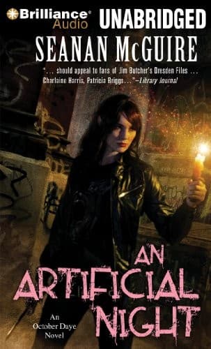 An Artificial Night
