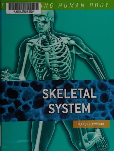 Skeletal system