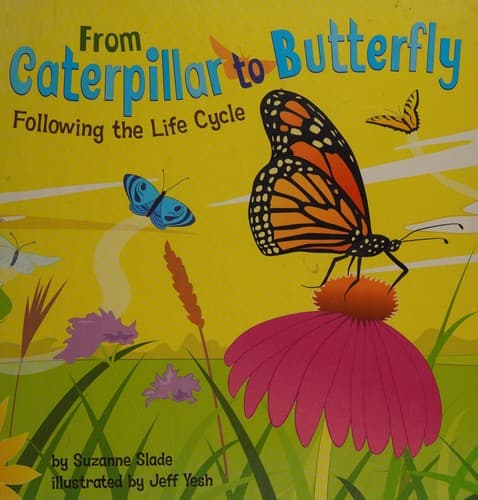 From caterpillar to butterfly