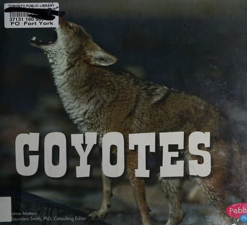 Coyotes