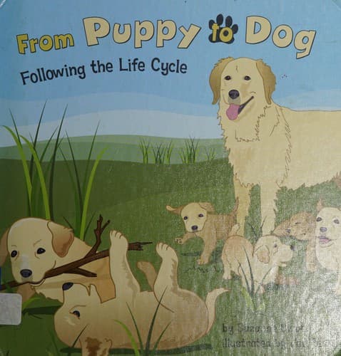 From puppy to dog
