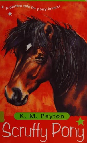 Scruffy Pony