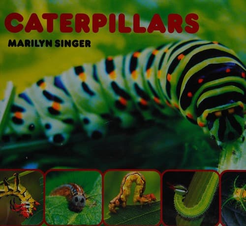 Caterpillars