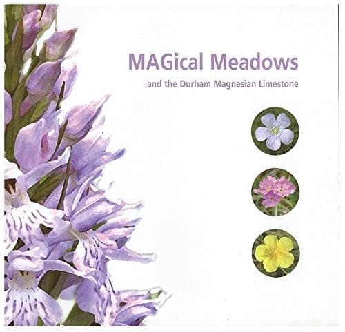 Magical Meadows and the Durham Magnesian Limestone