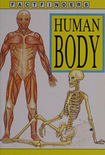 Human body