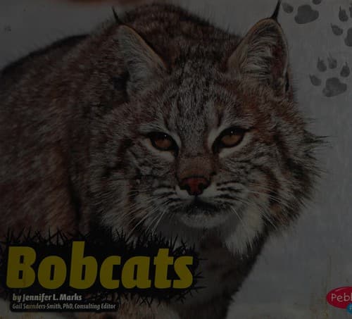 Bobcats