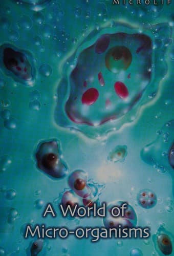 A world of micro-organisms