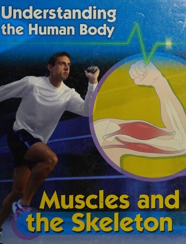 Muscles and the skeleton
