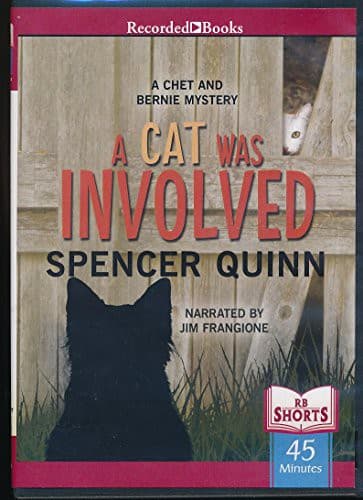 A Cat Was Involved