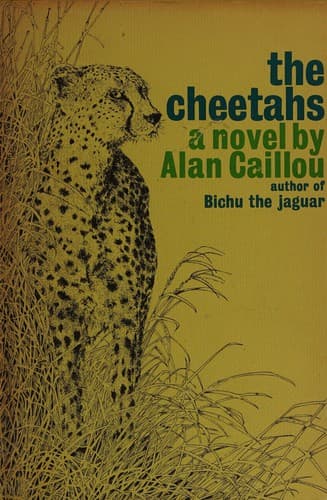 The cheetahs