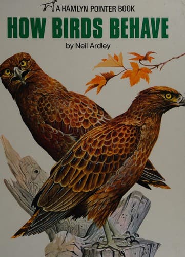 How birds behave