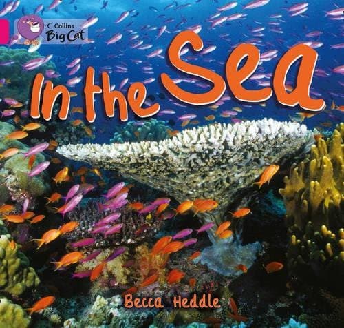 In the Sea