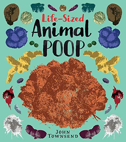 Life-Sized Animal Poo