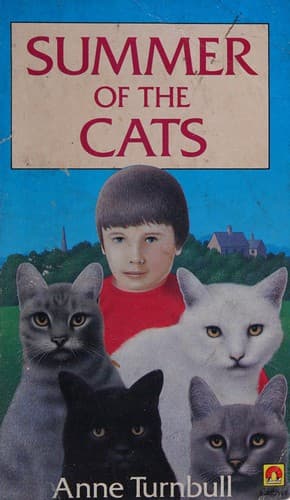 Summer of the Cats