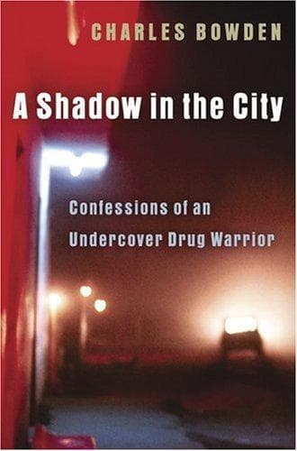 A Shadow in the City
