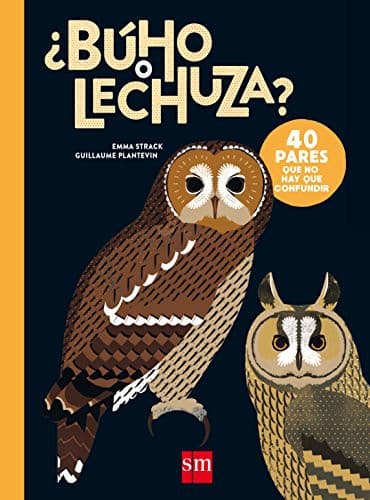 ¿Búho o lechuza?