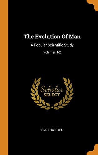 The Evolution Of Man