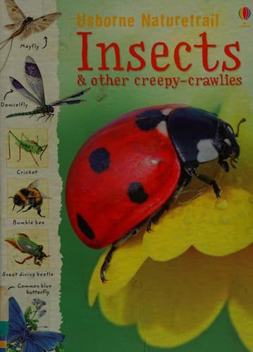 Insects & other creepy-crawlies