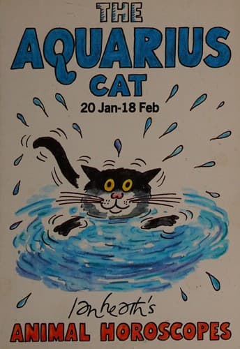 The Aquaris cat