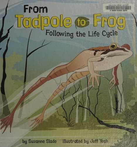 From tadpole to frog