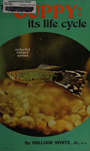 The guppy: its life cycle