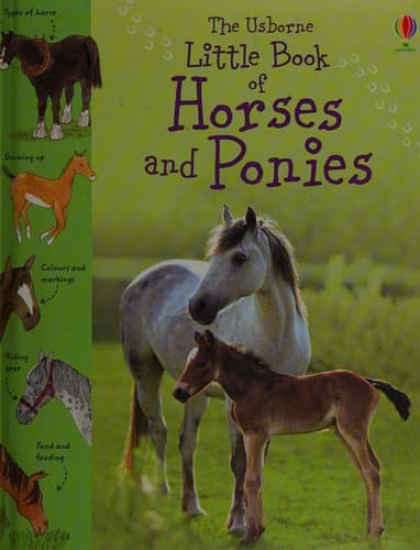 Little Book of Horses and Ponies