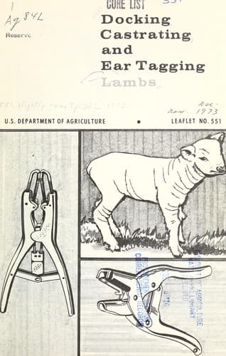 Docking, castrating, and ear tagging lambs