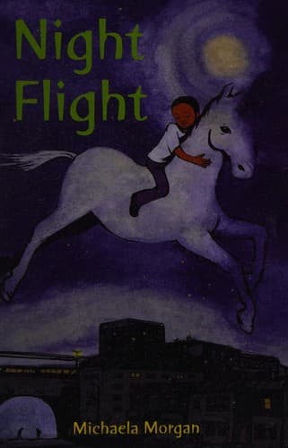 Night flight