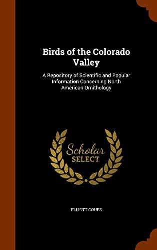 Birds of the Colorado Valley