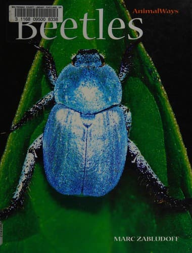 Beetles