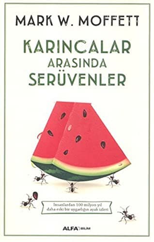 Karincalar Arasinda Seruvenler