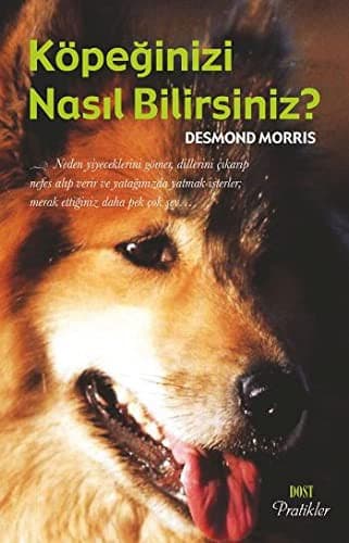 Kopeginizi Nasil Bilirsiniz?