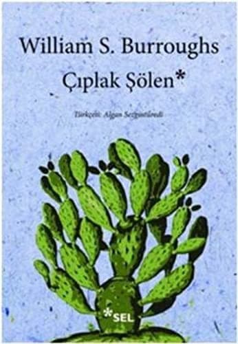 Ciplak Solen