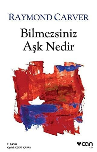Bilmezsiniz Ask Nedir
