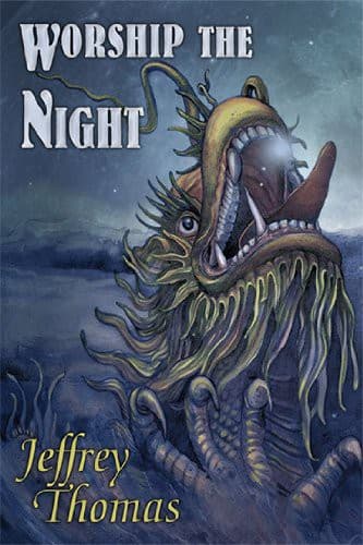 Worship The Night