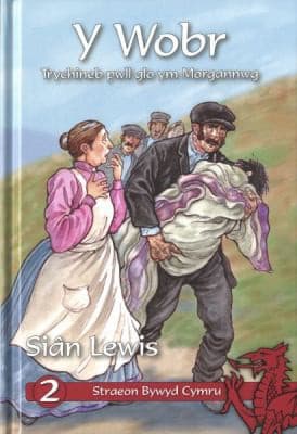 Cyfres Straeon Bywyd Cymru
