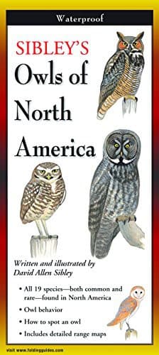 Sibley's Owls of North America