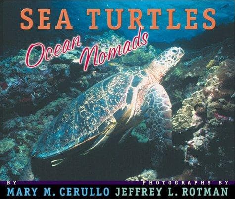 Sea Turtles