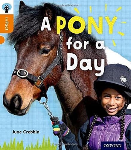 Pony for a Day