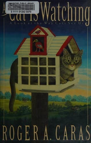 A Cat is Watching