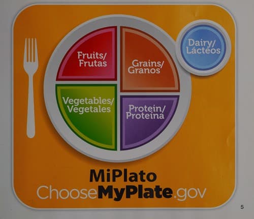 Fruit on Myplate