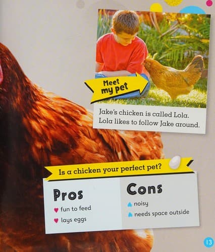 Perfect Pets