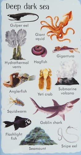199 Things under the Sea