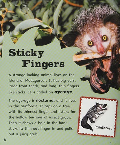 Big Ears and Sticky Fingers, Level 9