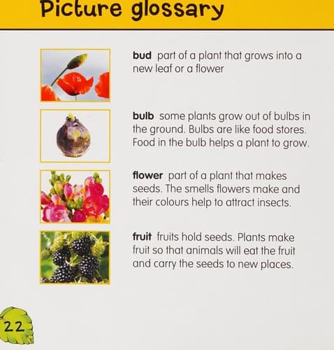 Learning about plants