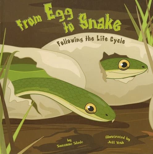 From egg to snake