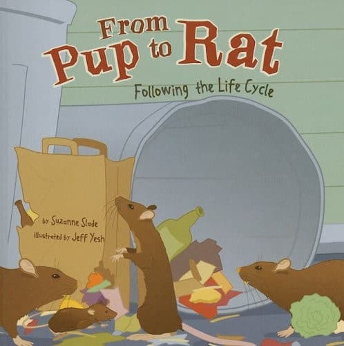 From pup to rat