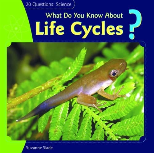 What do you know about life cycles?